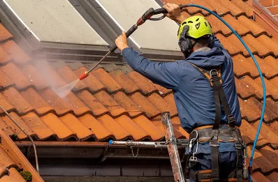Démoussage et hydrofuge de toiture à Bertric-Burée